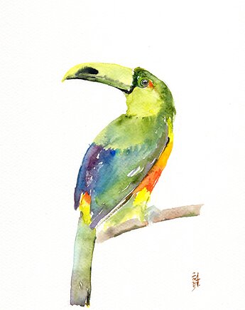 Oryginalna akwarela. Tukan, alquadro