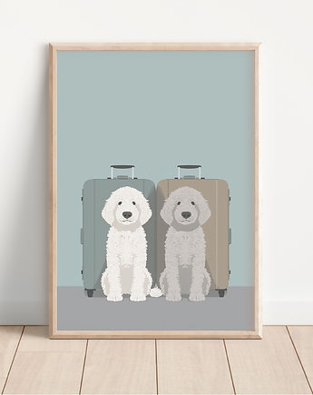 Plakat lagotto romagnolo, Whatever the timezone