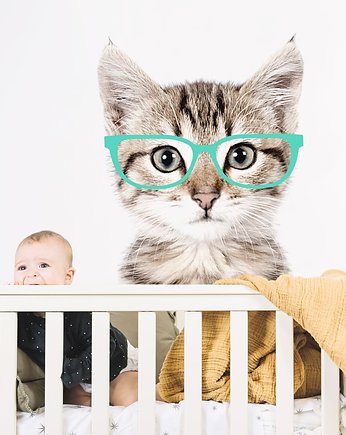Kot w miętowych okularach - Naklejka Na Ścianę, Dekoracjan