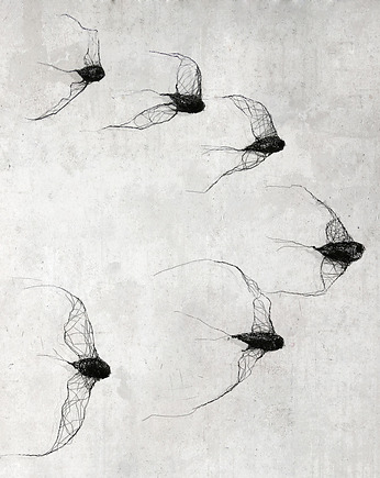 Instalacja z metalu nr VI - ptaki w kluczu (6 sztuk), Maja Gajewska