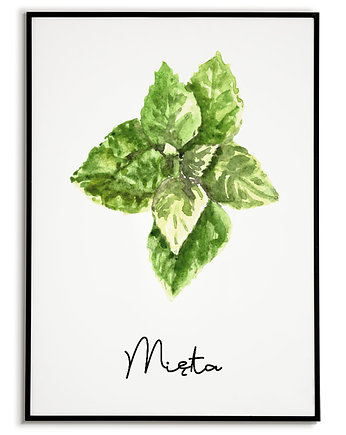 Plakat botaniczny GRAFIKA roślina ZIOŁA mięta, Bajkowe Obrazki