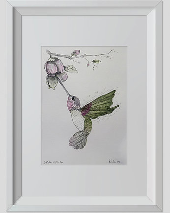 Rysunek Koliber 30x20cm + biała rama A4, ŁUKASZ KROKOSZ ART