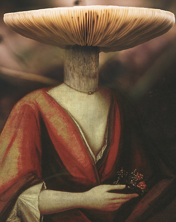 Grafika Magic Mushroom, SOWE