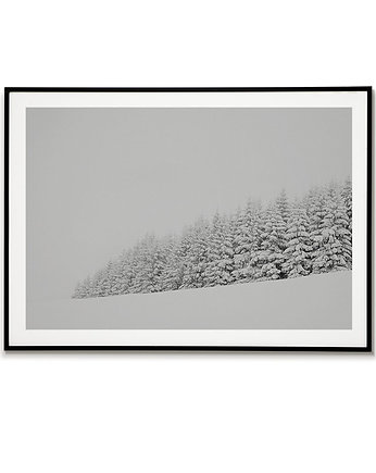 Plakat drzewa - Czarno biały  - Śnieg - Zima, Bajkowe Obrazki