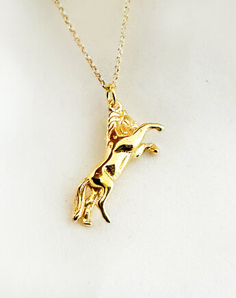 Naszyjnik z koniem, złoty koń , konik, hippika, Anemon Atelier