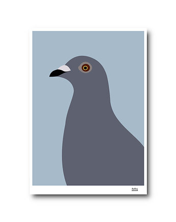 Plakat A4 Gołąb Generał, Hultaj Design