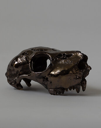 Ceramiczna Czaszka, ar studio