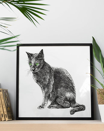 Kot z zielonymi oczami., beata sketches