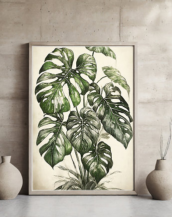 Plakat monstera, ArchiBotanica
