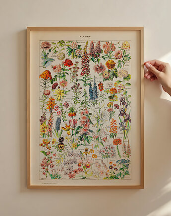 grafika Fleurs (reprint), Follygraph