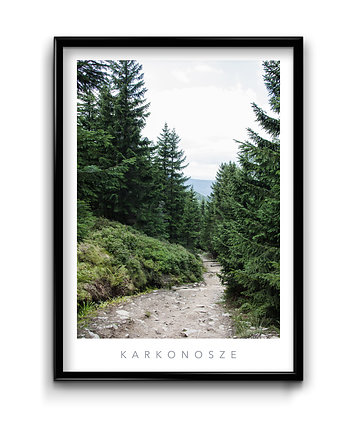 Plakat Karkonosze No.1, Bury Lis