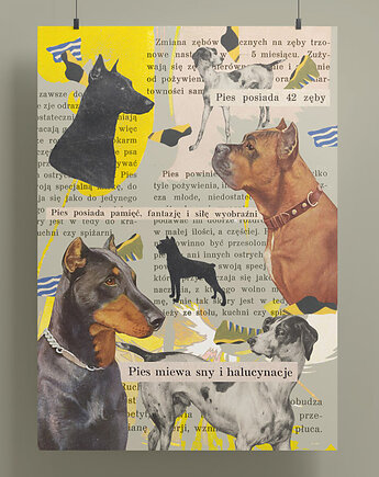 Plakat - Pieski - kolaż A4, Natalia Polasik