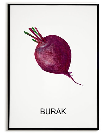 Plakat  GRAFIKA BURAK warzywa obraz ZIOŁA, Bajkowe Obrazki