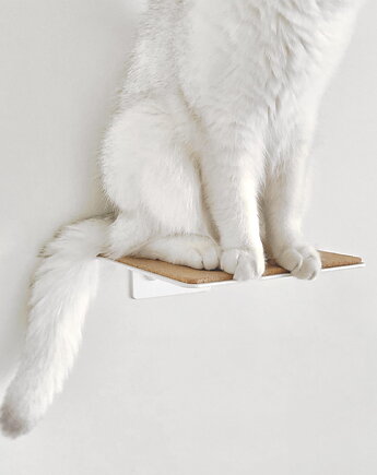 Catspace sklep