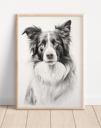 Plakat border collie, Whatever the timezone