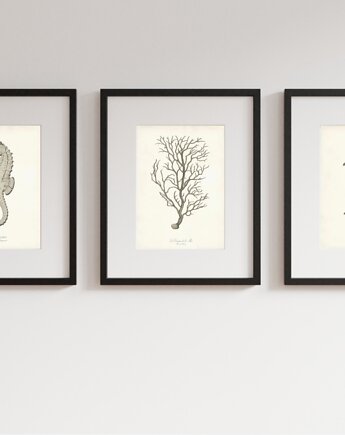 PLAKATY morskie obrazki marine galeria ścienna morze, black dot studio