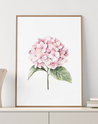 Różowa Hortensja 009 - akwarela botaniczna, Paperblue Studio