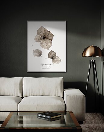 Plakat Hortensja/ Reprodukcja autorskiej akwareli, Margo Hupert