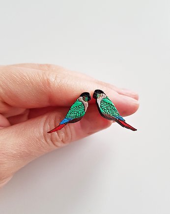 Papuga Rudosterka Zielonolica, ZAMIŁOWANIA - Elegancki prezent