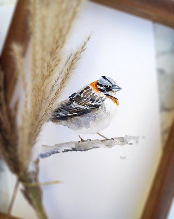 Akwarela Ptak Pasówka, Wiktoria Borys Art