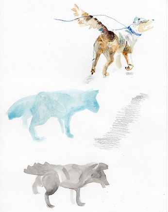 Trzy psy 1  - akwarela, Natalia Kołacz