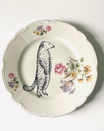 Surykatka, arent plates