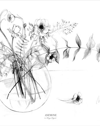 Anemone , print 50x70 cm, Margo Hupert