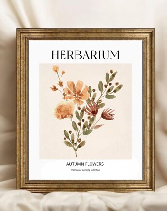 PLAKAT herbarium kwiaty jesienne, black dot studio