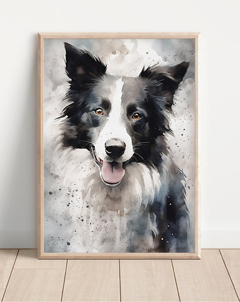 Plakat border collie, Whatever the timezone