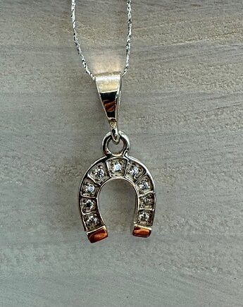 Naszyjnik srebrny 925 z podkową z cyrkoniami i końcówkami ze złota 585, Ade Art