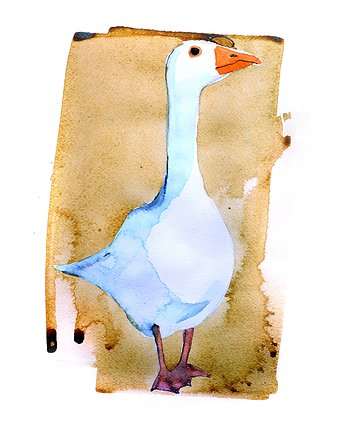 Plakat Gąsiorek, Warsaw Birds