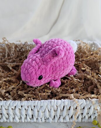 EcoToysByNastya projektant