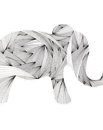 49. Pół Słonia, kama4you