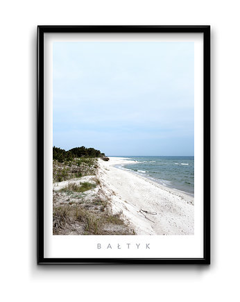 Plakat Bałtyk No.2, Bury Lis