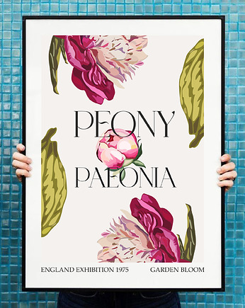 Plakat  Peonie, Project 8