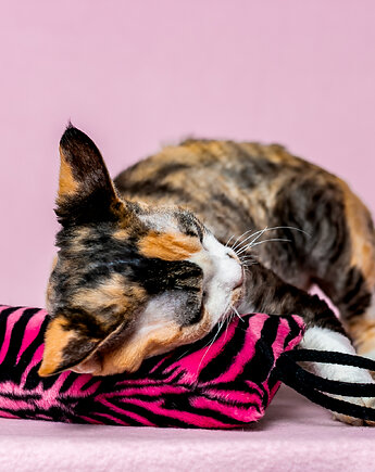 Zabawka dla kota kopacz kick & hug ze sznureczkami i kocimiętką ZEBRA RÓŻOWA, THE MISS CAT