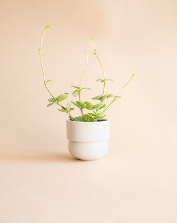 Osłonka Runo BEŻOWA (mini) Ø 9,5cm, FORMY PROSTE