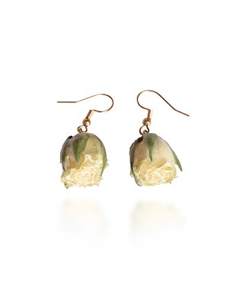 Kolczyki złote kremowe różyczki, Flores Jewellery