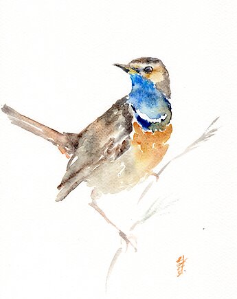 Oryginalna akwarela. Podróżniczek, alquadro