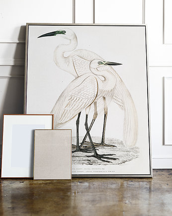 Plakat Ptaki vintage  50x70 cm, OSOBY - Prezent dla dwulatka