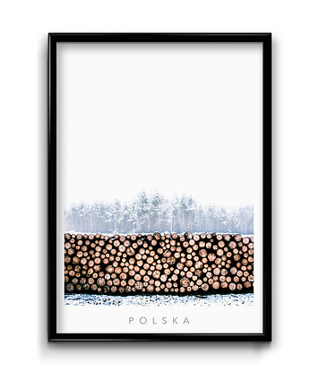 Plakat Polska No.2, Bury Lis