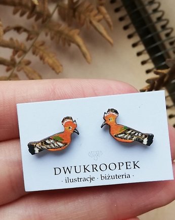 Dudki malowane, DWUKROOPEK