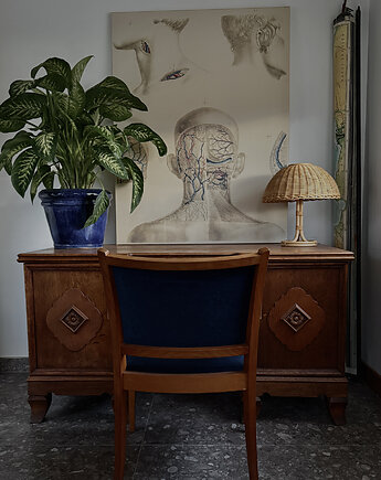 Human Anatomy - obraz na płótnie lub plakat, Dekoracje PATKA Patrycja Kita