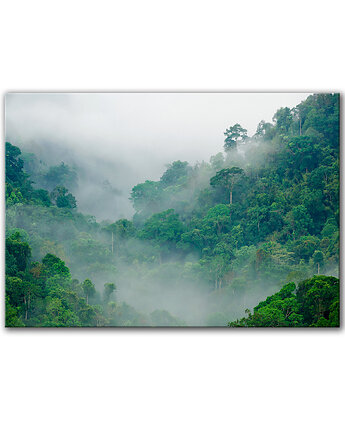 Obraz na płótnie - Las we mgle  - 100x70 cm (1-0329), raspberryEM