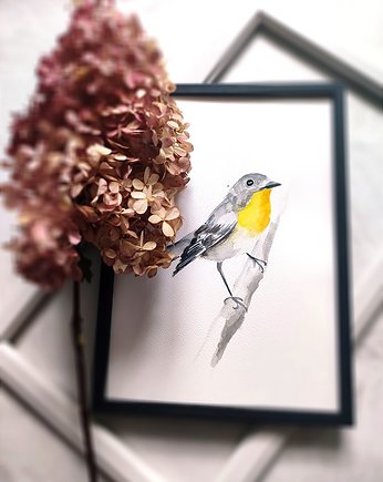 Akwarela muchołówka, Wiktoria Borys Art