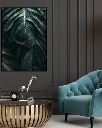 PLAKAT MONSTERA LIŚCIE BOTANICZNY z monsterą, black dot studio