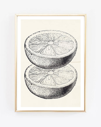 lemon vintage fotografia plakat, wejustlikeprints