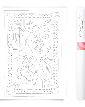 Plakat do Kolorowania Roślina Doniczkowa Minima 50x70cm, Anna Grunduls Design