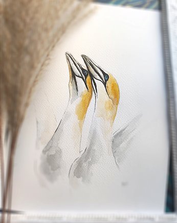 Akwarela głuptaki, Wiktoria Borys Art