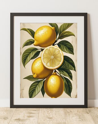 PLAKAT  grafika botaniczna  vintage cytryny, black dot studio